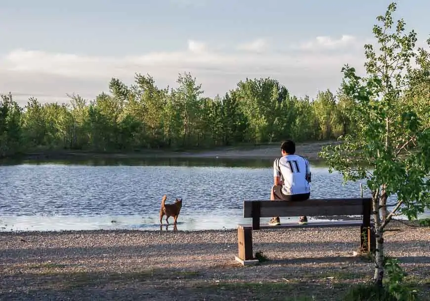 Calgary Dog Parks Galore: Pet-Friendly City Living